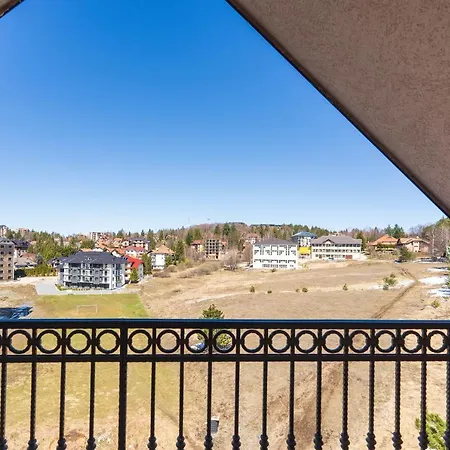 Zlatiborski Sjaj Family *