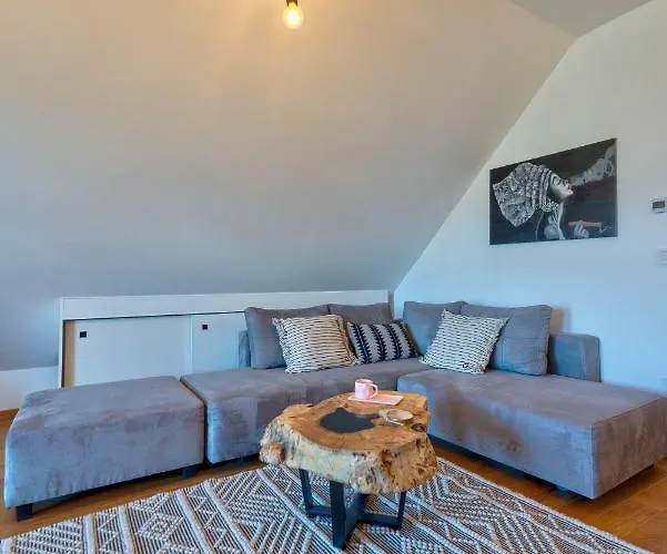 Zlatiborski Sjaj Family アパート *