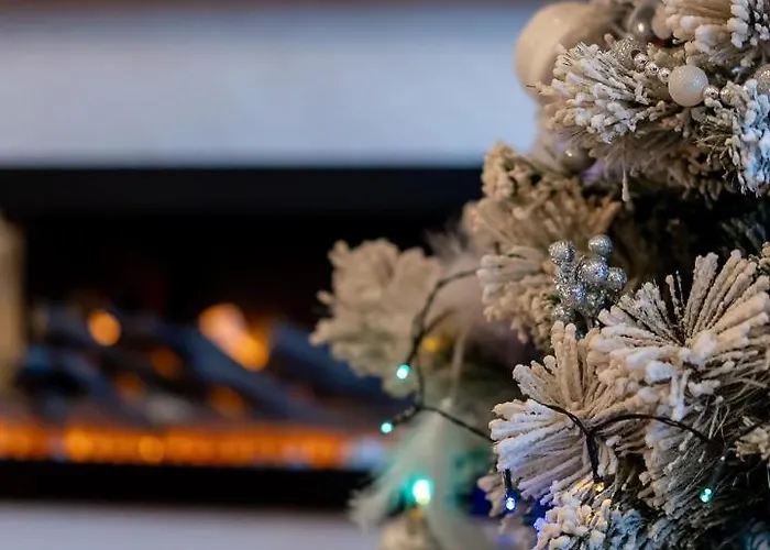 Zlatiborski Sjaj Family アパート *